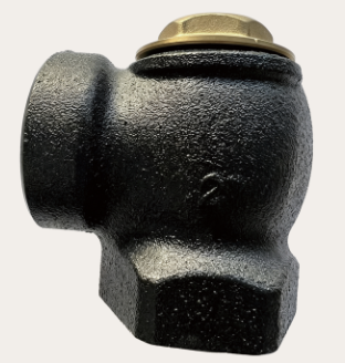 Check Valve