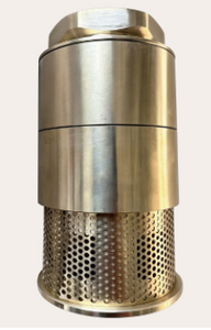 Check Valve