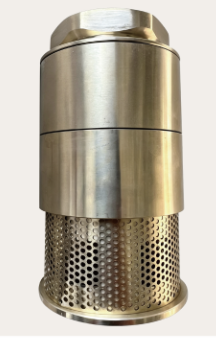 Check Valve