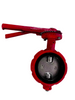 Butterfly Valve