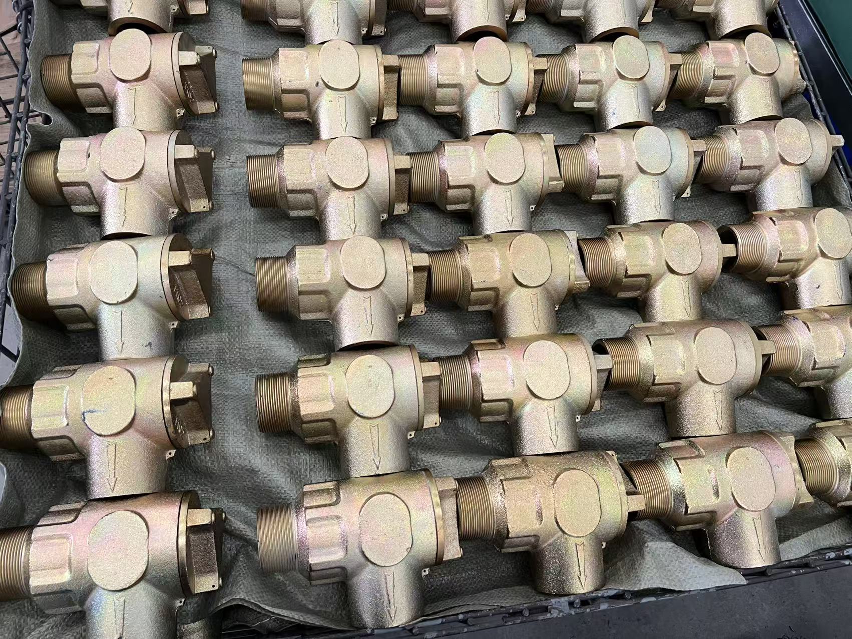 Check Valve